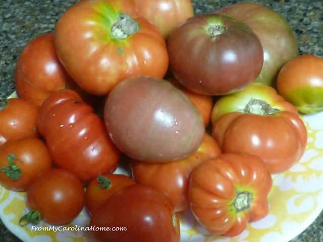 Tomatoes at FromMyCarolinaHome.com