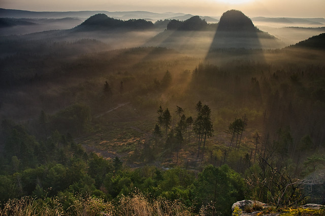 Early morning sunlight and fog in Saxon Switzerland - explored! Thanks!