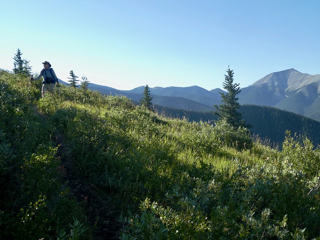 Folding Mountain Summit Hike - At about kilometre 3, meadows provide for nice views