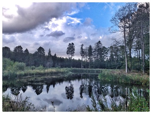 mortenbjerg hesbjergskov landscape lake reflections weather sky clouds background magicofnature relaxed peaceharmony