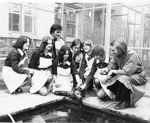 veterinary-nurses-veterinary-nurses-and-staff-1970s-nurses