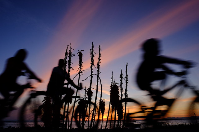 Blue Hour Cycle