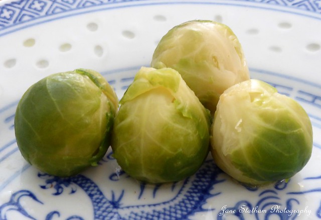 2020: one photo each day. 236/366 Four sprouts for lunch.