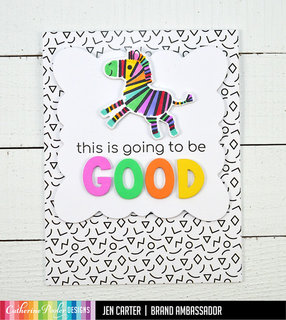 Jen Carter Rainbow Zebra This is Going to Be Good