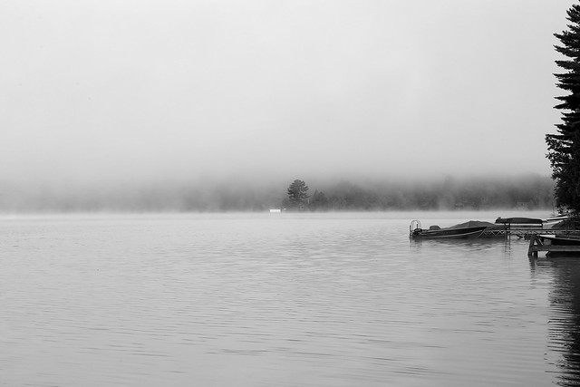 Mystical morning...(Leica M8+ RF 50 mm f1.5 Voigtlander Nokton)