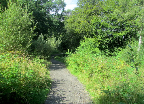 Kinnoull Hill Path,Perthshire, Scotland