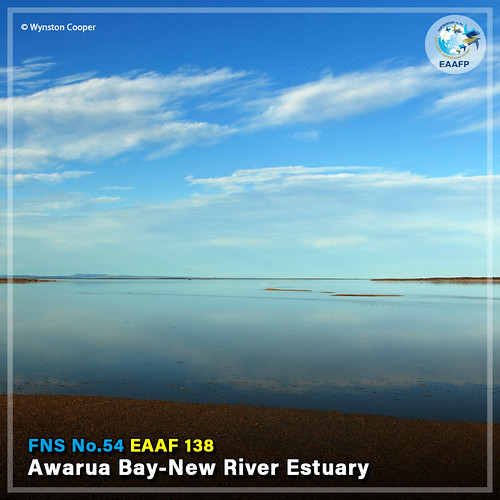 EAAF138 (Awaru Bay-New River Estuary) Card News