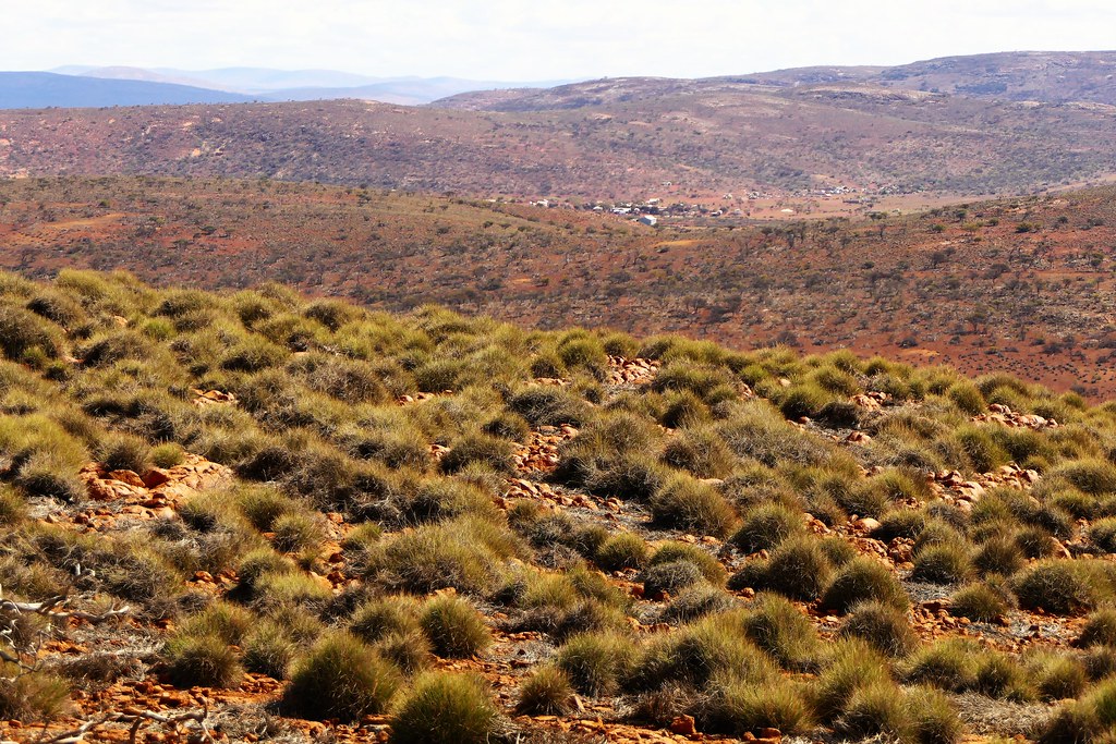 Mount Ive Station nestled in the Gawler Ranges, South Australia
