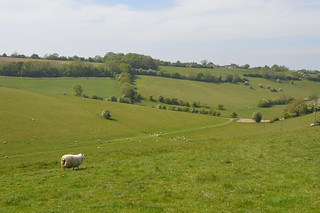 Tatsfield Beddlestead Farm valley 