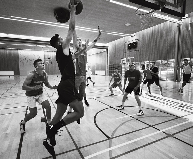 Basket training (4)