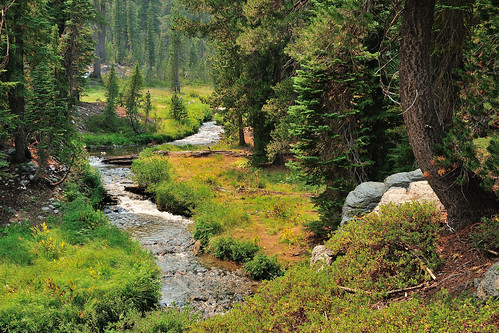 kingscreek creek stream forest lassennationalpark nationalpark park california d300s 1685mmvr 1685mmf3556gvr