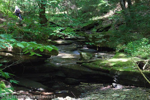 Ledges in Wolf Run along the Golden Eagle Trail, Tiadaghton State Forest, Pennsylvania