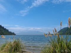 Across Lake Tarawera