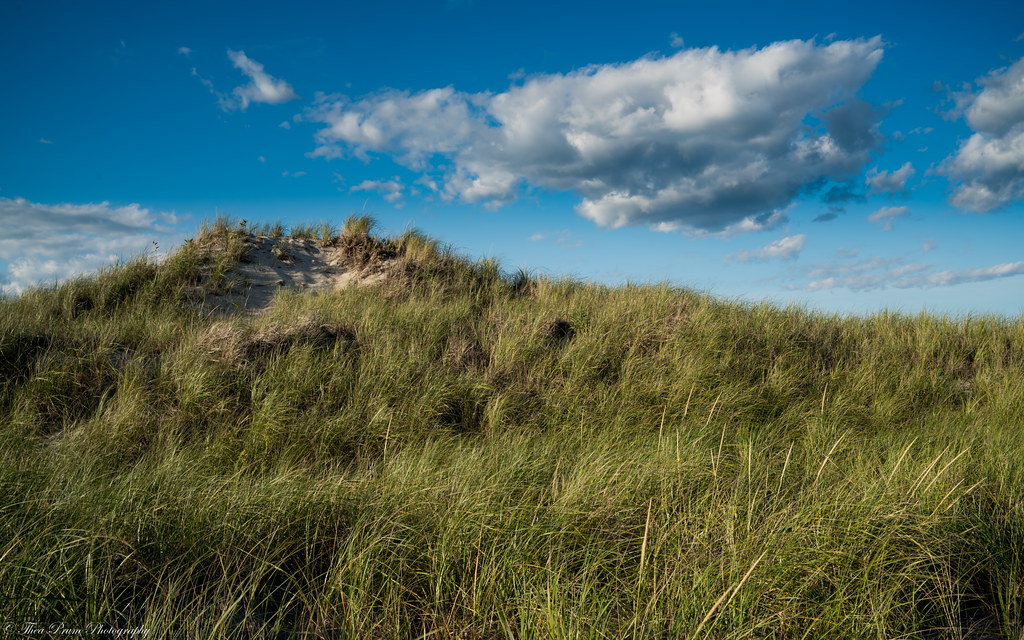 Meet the dune of Hampton Beach.