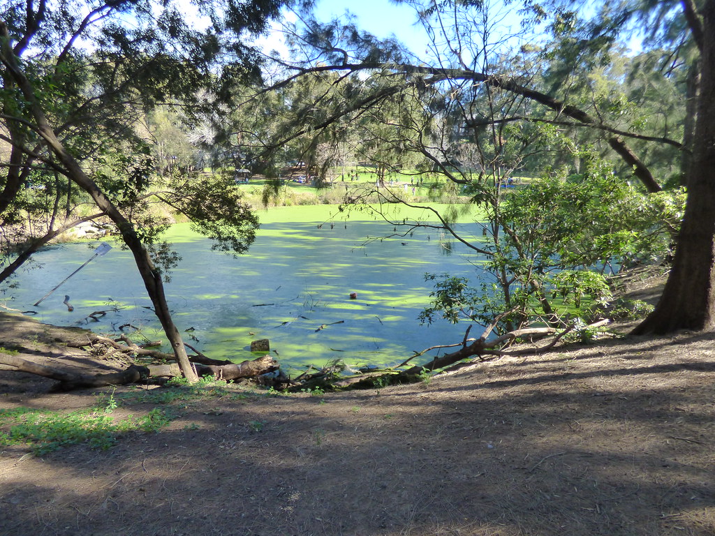 H.V.Evatt Park, Lugarno, NSW