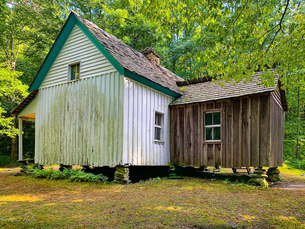 Alfred Reagan cabin--5013