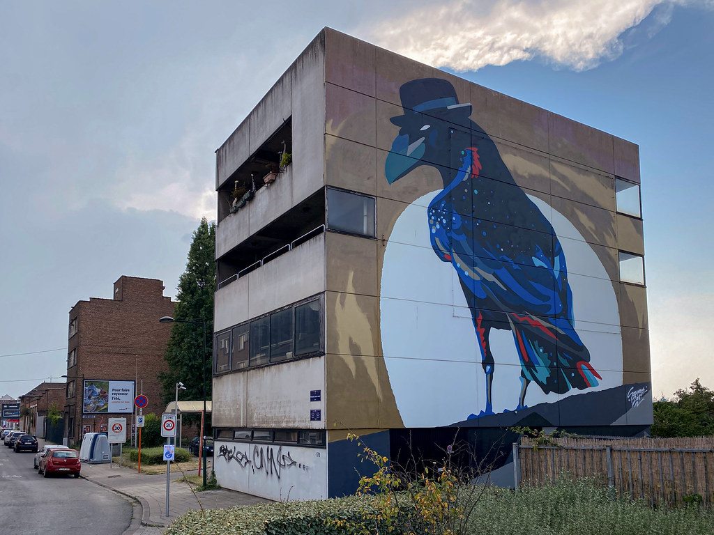 Brussels Corvus Corone by Street Artist Sozyone