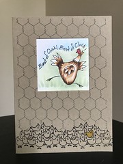 Best of Cluck! (card front)