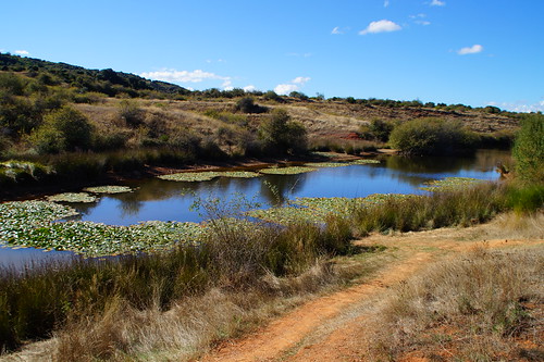 Laguna grande de Lago de Babia y Las Médulas, Fin del viaje, 30 agosto - Estuvimos en Babia.... y Laciana, 24-30 agosto 2020 (60)