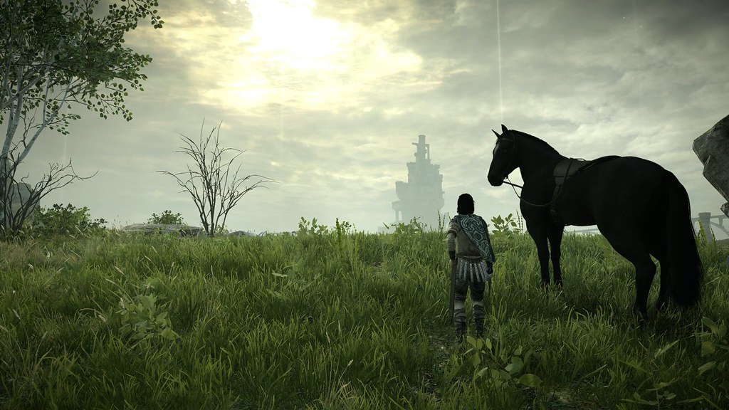 Video Conference Backgrounds - Shadow of the Colossus