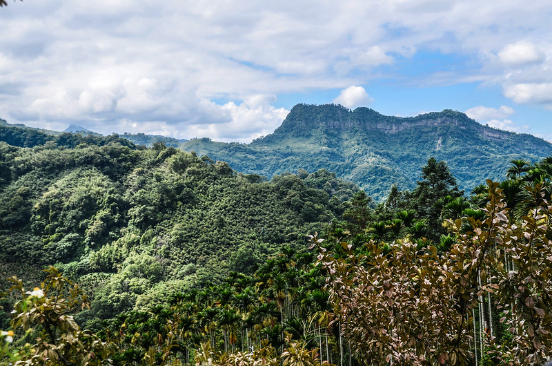 半天寮山北峰仁德農路南望鷂婆山(R)、馬那邦山(L)