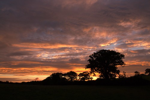 sunrise betwsynrhos northwales greatbritain uk unitedkingdom september2020 flickrnature canon canoneos1200d clouds trees silhouette sky orangesky magentasky yellowsky