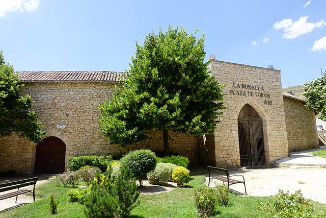 De viaje por España - Blogs de España - FLORACIÓN DE LA LAVANDA EN LA ALCARRIA. BRIHUEGA Y CÍVICA (GUADALAJARA) (33)