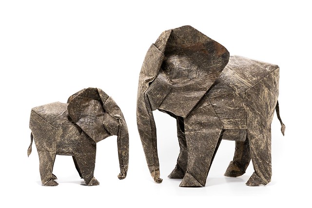 Elephants - Sipho Mabona
