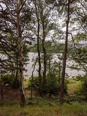 Loch Morlich, August 2020