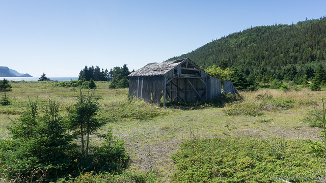 Vieille cabane, old hut - Parc national du Bic, PQ, Canada - 4901