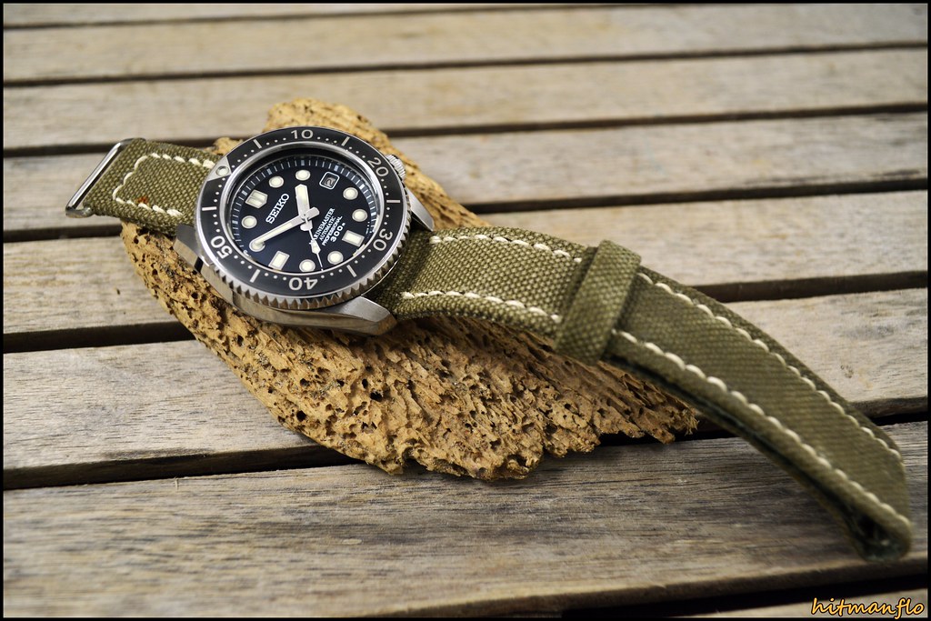 MarineMaster 300 owner's club - tome XXX - Page 9 50308777927_fa511ebc4e_b