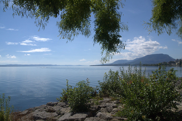 the beauty of the lake of geneva