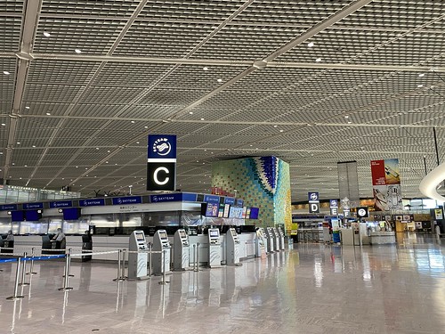 Narita airport 202008
