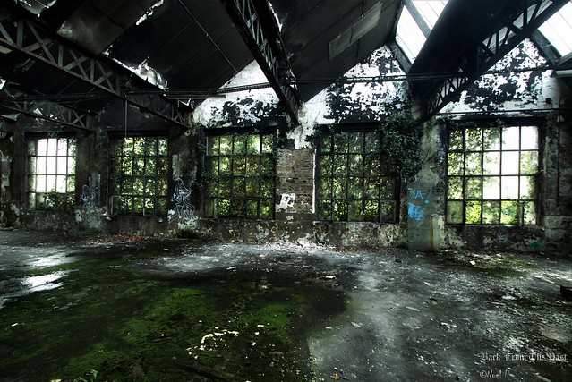 Abandoned eastern France plant
