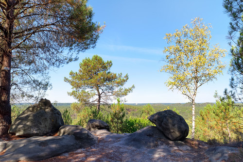 landscape travel forest panorama outdoor plants trees france europe view foliage pentax pentaxart pentaxk1 rocks sandstone hills outside