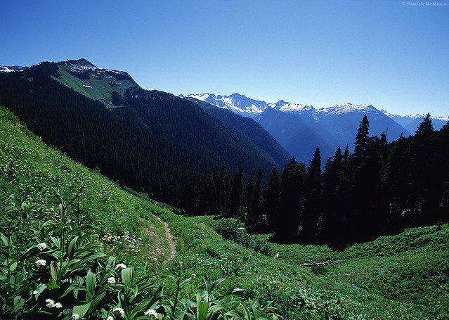 Lookout Mountain Trail - Washington State