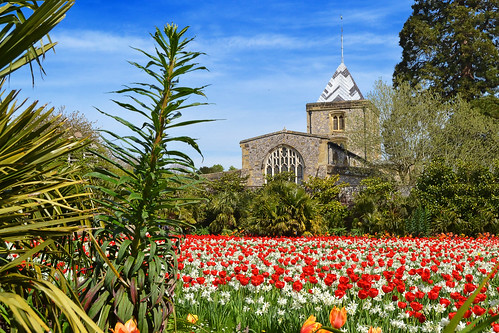 england spring april 2019 arundel arundelcastle sussex westsussex stnicholas church garden tulip bulb plant botany botanic
