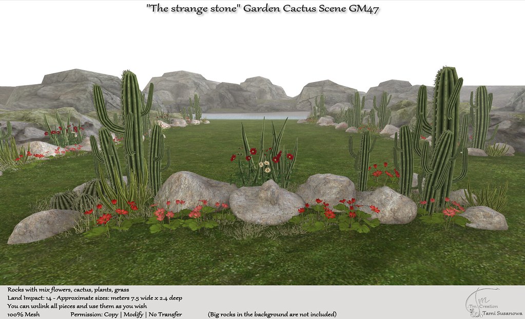 .:Tm:.Creation "The strange stone" Garden Cactus scene GM47