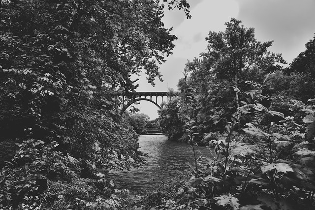 Oh Sweet is the Thought When I Spied Upon a River While Walking Amongst the Forest (Black & White, Cuyahoga Valley National Park)