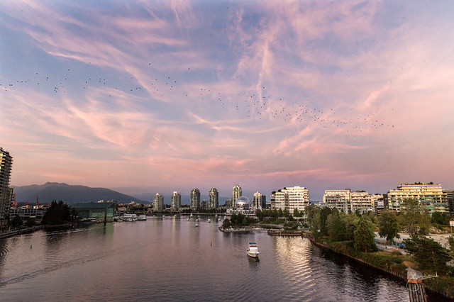 Vancouver at Blue Hour - Concord Pacific Summer 2020