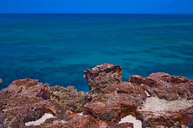The St. Lucie Rocks, Anastasia limestone, Ross Witham Beach, Hutchinson Island, Florida, USA