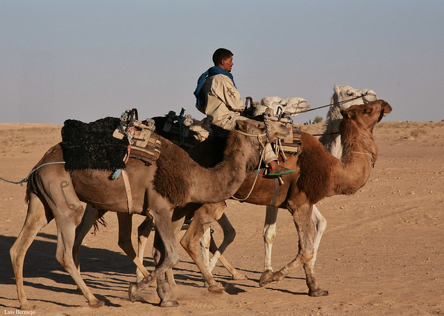 Caravanero - Sahara Occidental