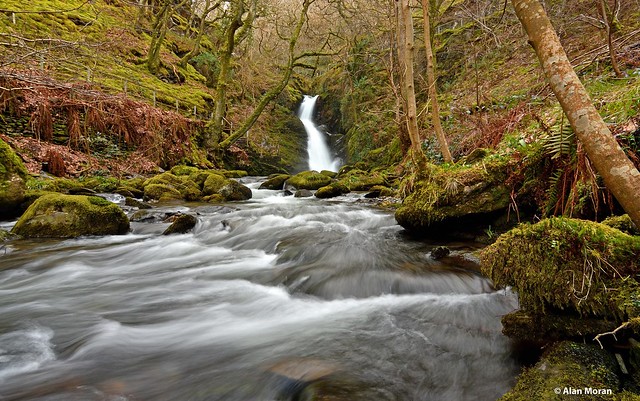 Dolgoch Falls, Wales