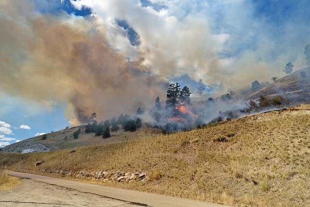 Wildfire close to my home it burned 25 hectares