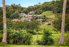 Hillside Houses in Highland, St. Thomas Barbados