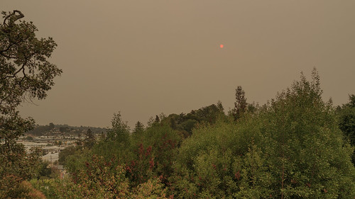 redsun smoke wildfires dimsunlight morning sanrafael marincounty california