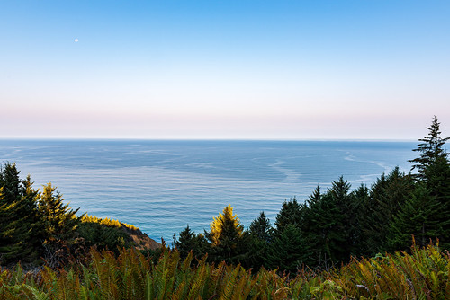 sunrise/moonset by Ben McLeod, I love how a tree behind me cast it's shadow on a tree in front of me.ocean sunrise moonset shadows