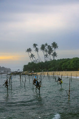 Stilt Fishermen at Koggala Beach, Sri Lanka