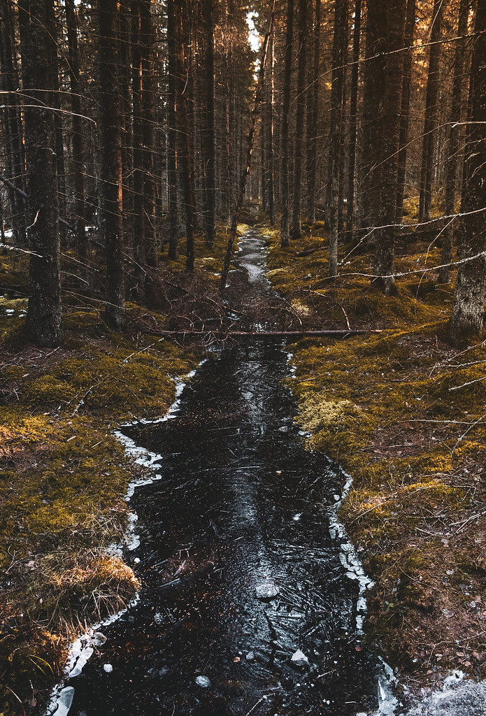 lead to silver | Kintulammi Nature Reserve, Finland | Naksu Kihlakaski ...
