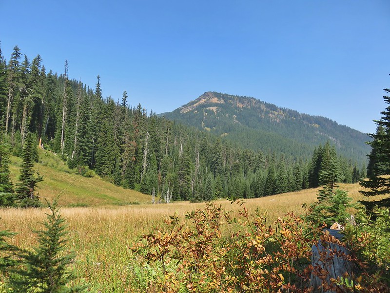 Rattlesnake Mountain from the Rogue-Umpqua Divide Trail